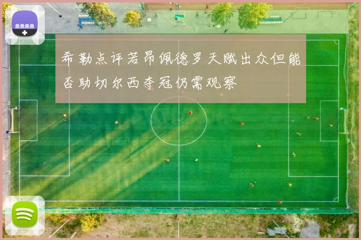 希勒点评若昂佩德罗天赋出众但能否助切尔西夺冠仍需观察