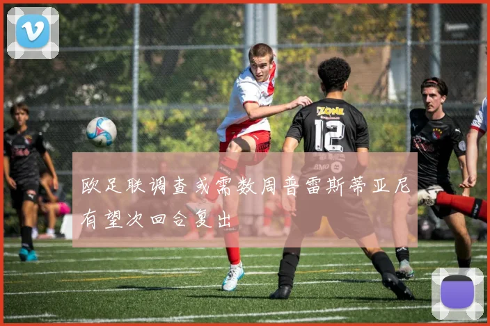 欧足联调查或需数周普雷斯蒂亚尼有望次回合复出