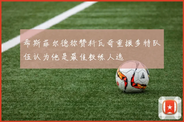 希斯菲尔德称赞科瓦奇重振多特队伍认为他是最佳教练人选